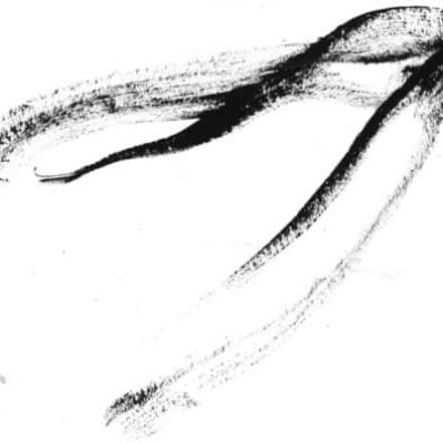 sai_mithra_slder1f sai_mithra_slder1f